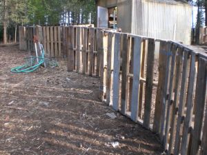 cheesecake, fence, Easter 047