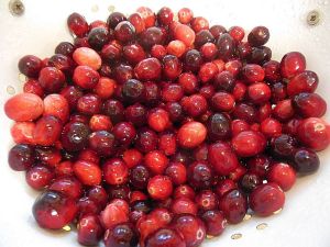 cranberries 001