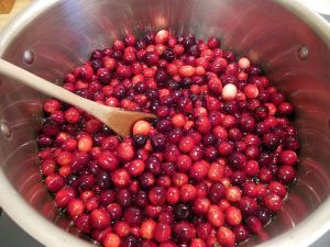 cranberries 003