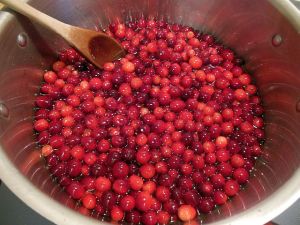 cranberries 004