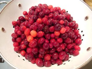 cranberries 005