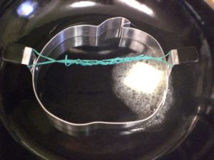 pear jam, compressor, pumpkin flapjacks 012