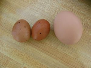 snow, eggs, maddy kids 023