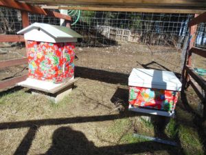 ghost icing, hive covers 004